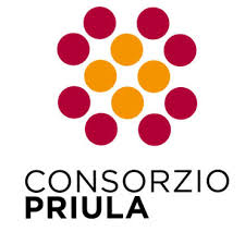consorzio bacino priula villorba
